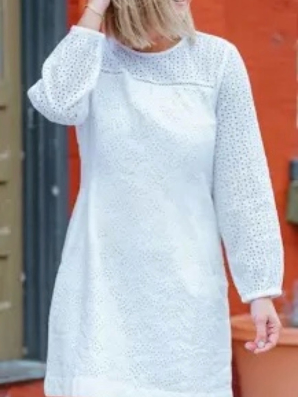Gap Womens Eyelet Shift Dress Long Sleeve Large Feminine Dainty Preppy Classic